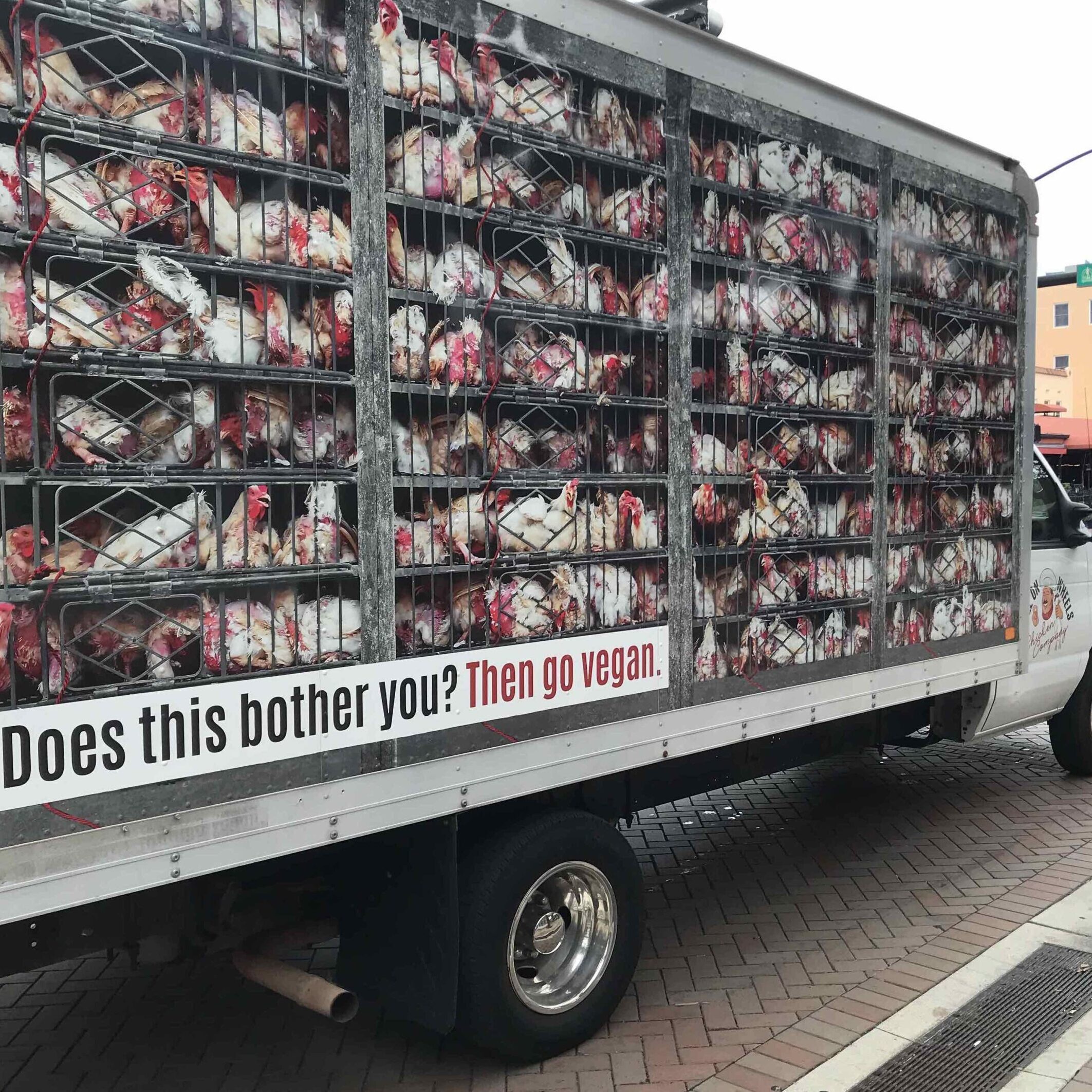 Hell on Wheels' campaign disrupts lunchtime - WSLR+Fogartyville