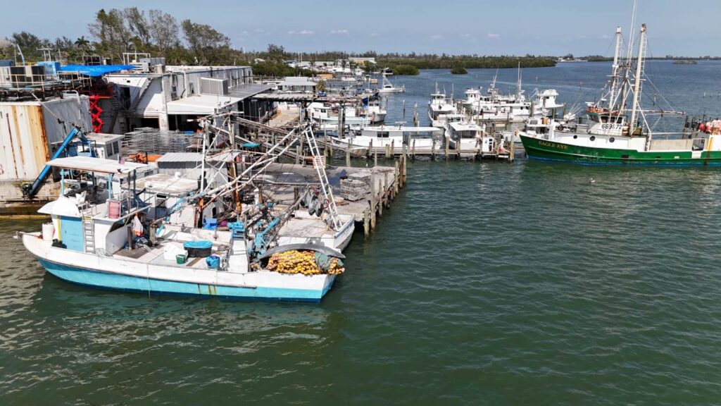 Photo of dozens of docked fishing boats.