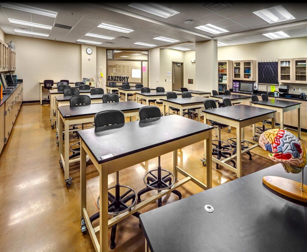A large classroom with a model brain on the front desk and letters that say "anatomy" in the back window.