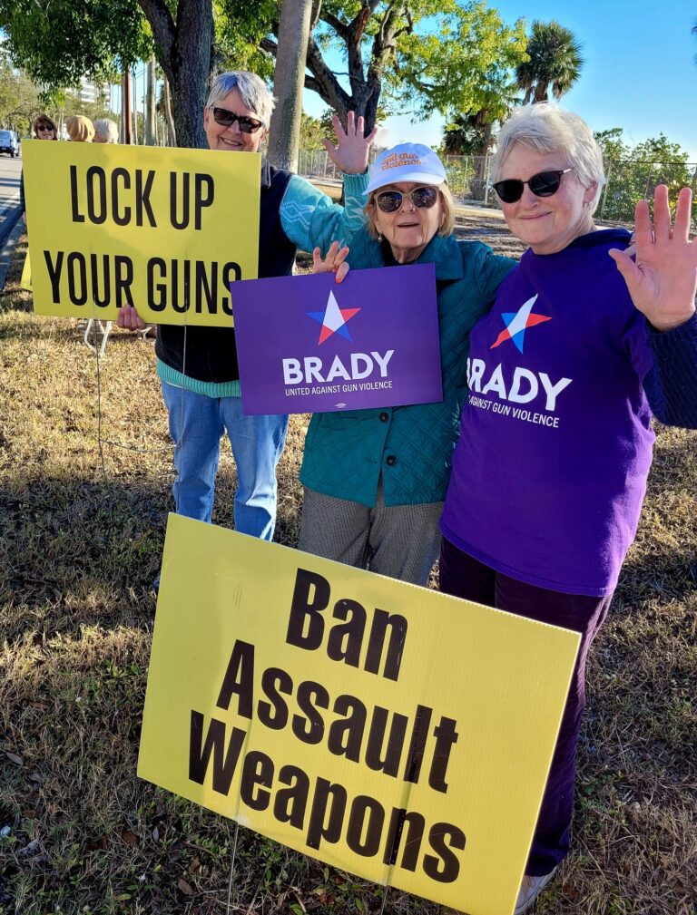 Three demonstrators hold anti-gun violence protest signs and Brady paraphernalia.