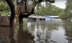 A tree fort in a flooded neighborhood.