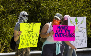 Two demonstrators, one in sunglasses and a keffiyeh and the other in a cap and bandanna, holding handwritten signs: "Stop "Alligator Alcatraz" and "Hands off the Everglades".