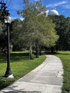 Photo of a paved walkway. A water tower is visible behind trees.