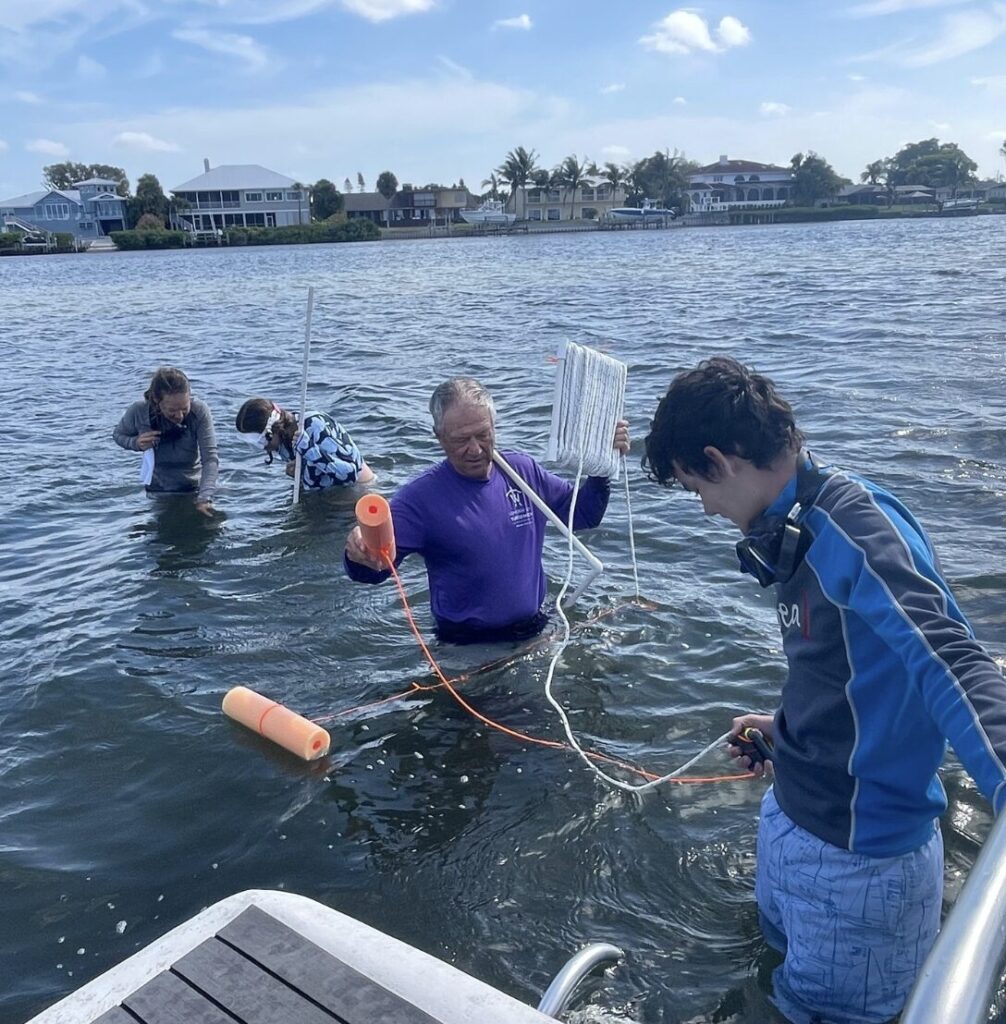 Four researchers wade into the bay with water quality measuring equipment.