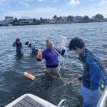 Four researchers wade into the bay with water quality measuring equipment.