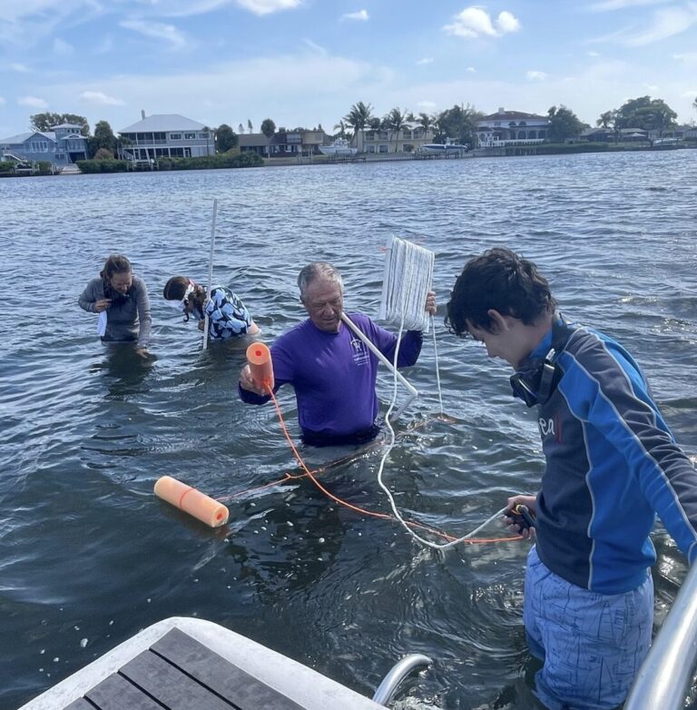 Four researchers wade into the bay with water quality measuring equipment.