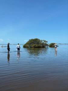 Three people stand in ankle-deep bay water.