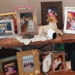 A shelf of framed family and pet photos.