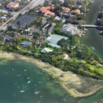Aerial rendering of Phase Two of Selby Botanical Gardens' construction plans.