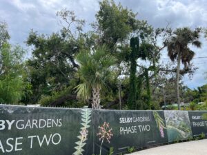 Photo of trees and plants at Selby Botanical Gardens. A banner hung on a fence reads "Selby Gardens Phase Two".