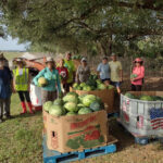 A group of people outdoors standing around crates of watermelons and smiling at the camera.