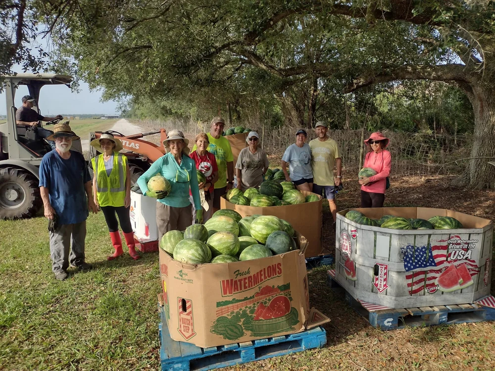 A group of people outdoors standing around crates of watermelons and smiling at the camera.