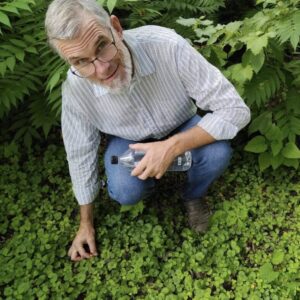 Drew Hudson bending down in a patch of clover to pluck a small flowering plant.