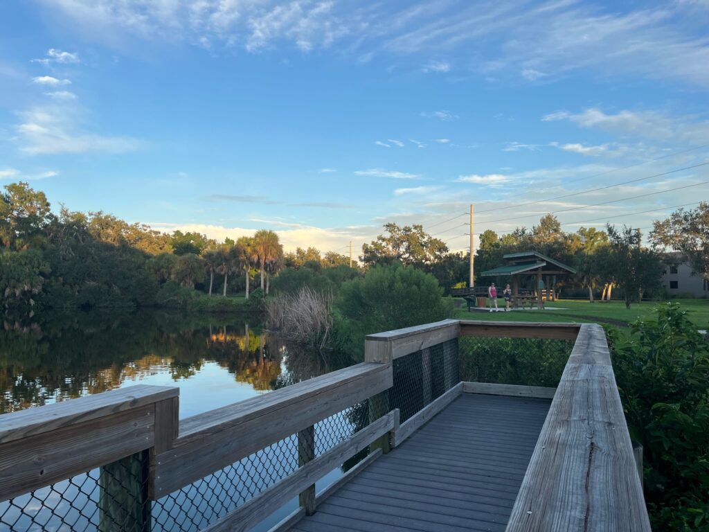A wooden dock overlooking a body of water. People are walking near a picnic shelter across the water.