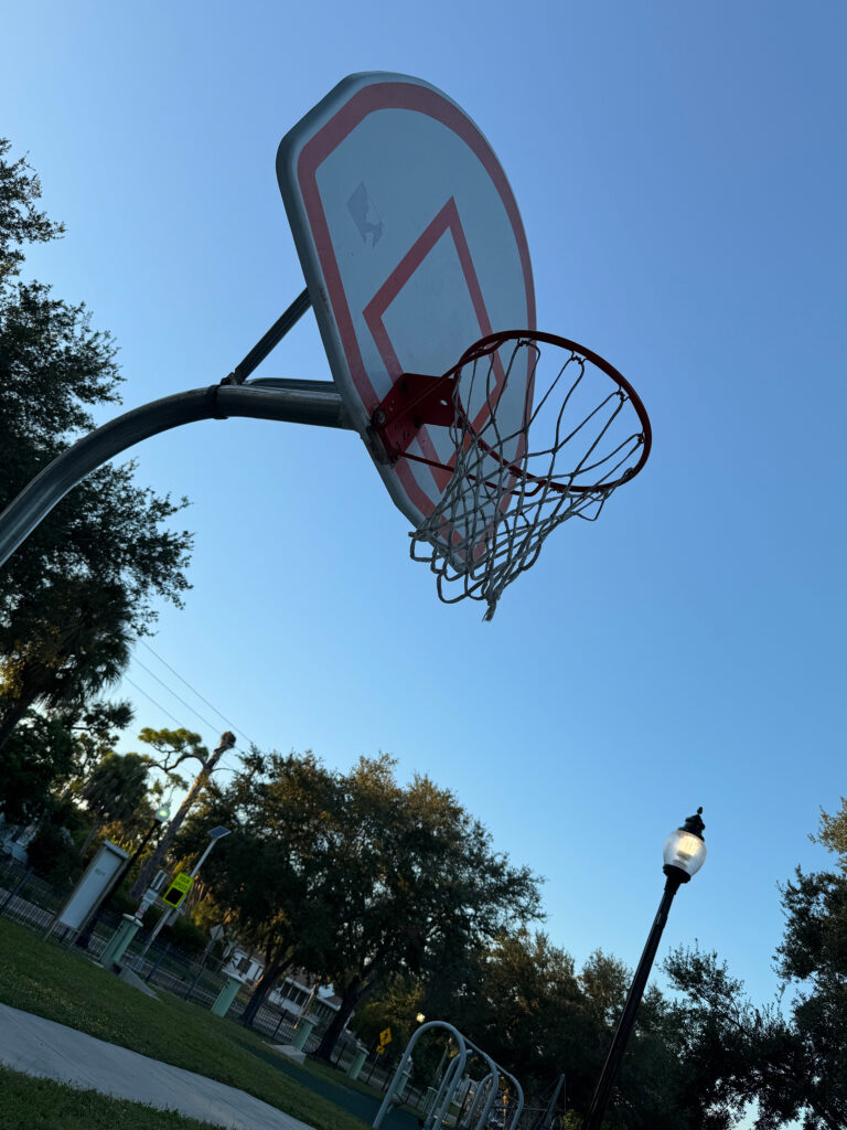 Photo of a basketball hoop in a park.
