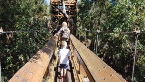 Photo of children walking along a wooden walkway through the treetops.