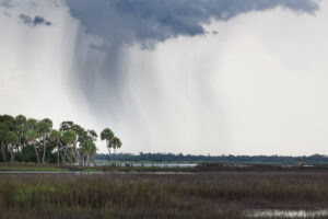 Storm clouds over Myakka wetlands.