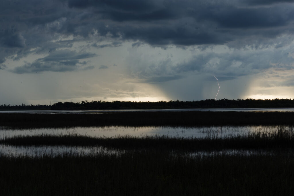 Twilight in the Myakka wetlands. Lightning strikes in the distance.