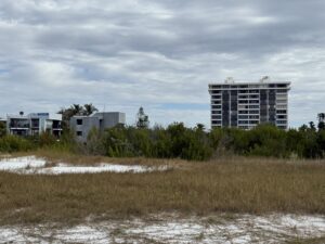 A vacant lot on coast of Siesta Key.