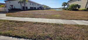 A brown, unwatered lawn in a suburban community.