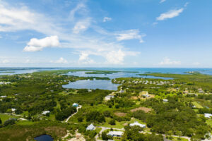 Aerial view of a residential area built near an estuary.