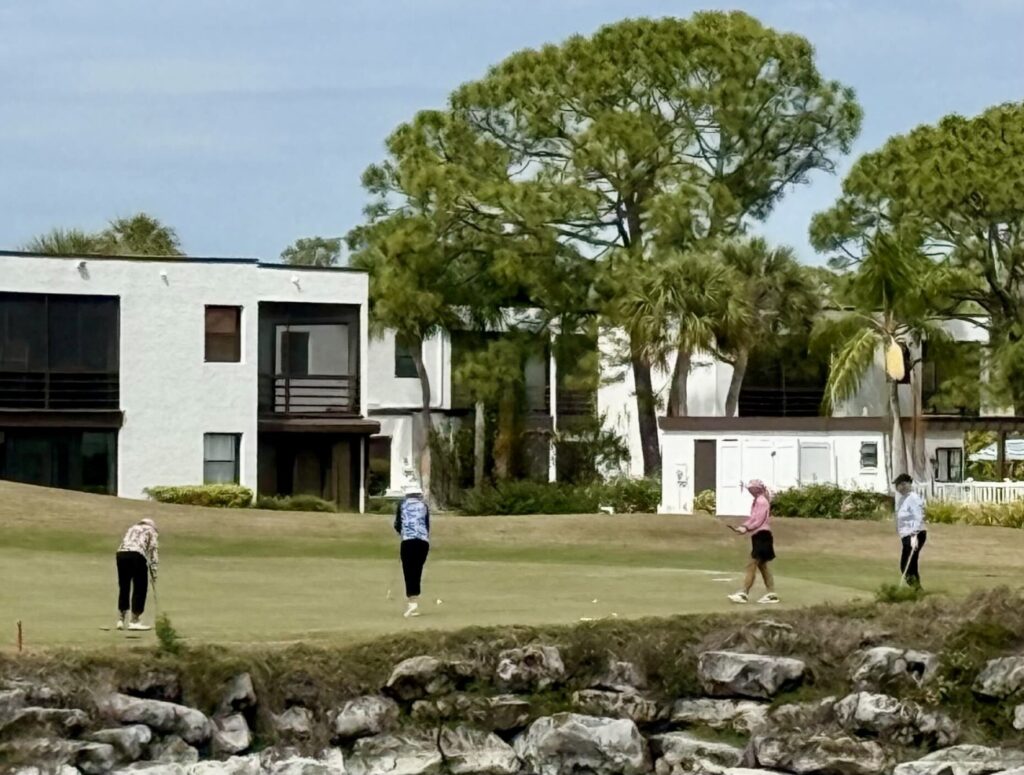Four golfers near a modern residence.
