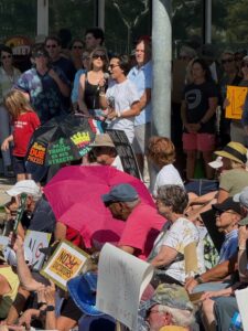 A crowd of No Kings demonstrators.