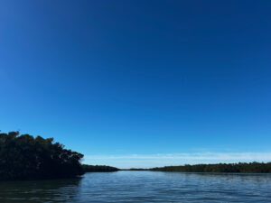 Terra Ceia coastline.