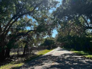 A canopied road.