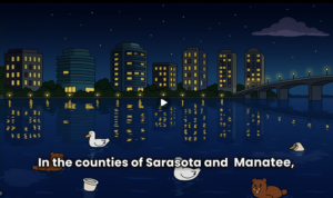 Illustration of small animals swimming in the Sarasota bay at night captioned "In the counties of Sarasota and Manatee,".