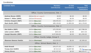 A screenshot listing the candidates for upcoming local elections.