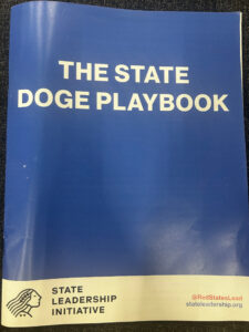 A blue leaflet titled "The State DOGE Playbook."