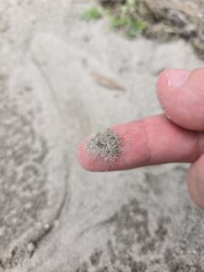 A finger holding up a tiny pile of roadside concrete dust.