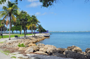 Photo of a rocky shoreline.