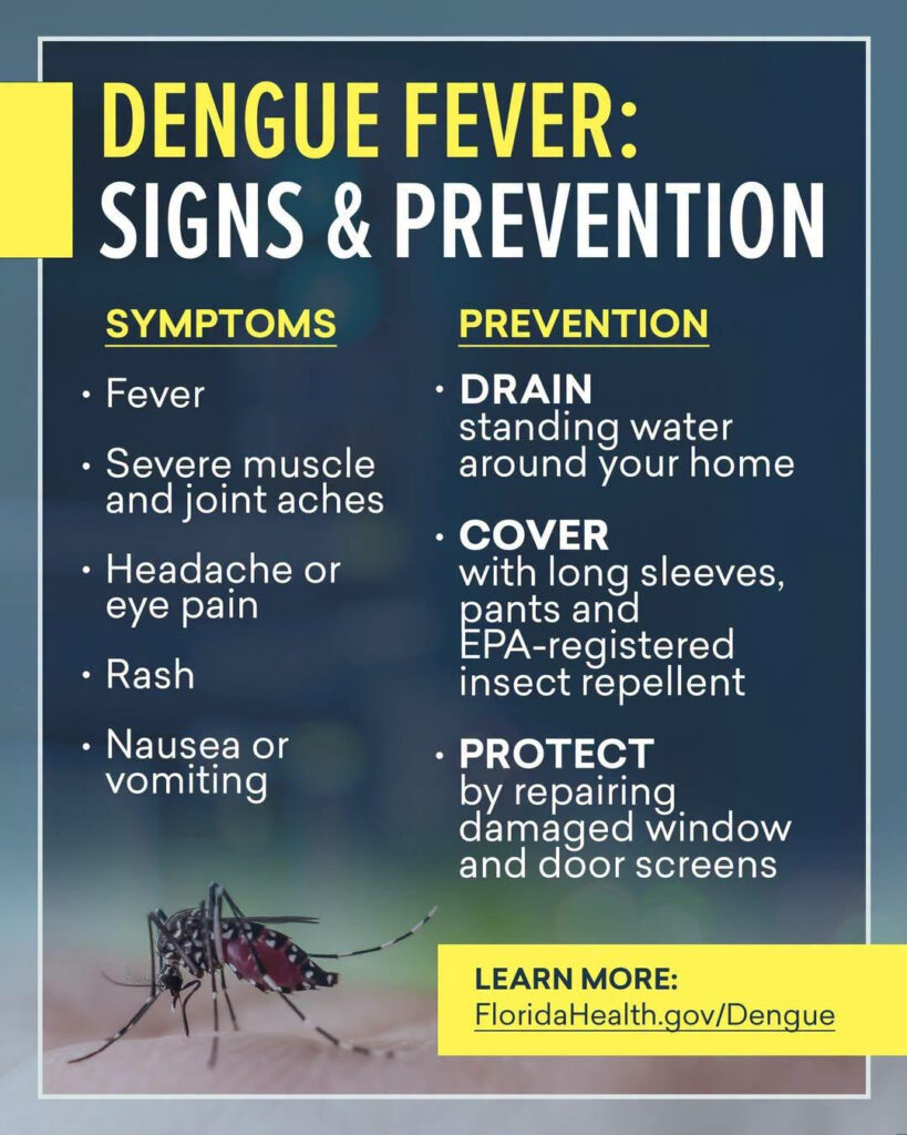 A Florida Health Department infographic titled "Dengue Fever: Signs & Prevention" featuring a photo of a mosquito. Symptoms: Fever, severe muscle and joint aches, headache or eye pain, rash, nausea or vomiting. Prevention: Drain standing water around your home; cover with long sleeves and EPA-registered insect-repellant; protect by repairing damaged window and door screens.